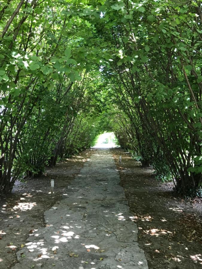 Hotel Ca' Borgo Delle Rane Pernumia Exteriér fotografie